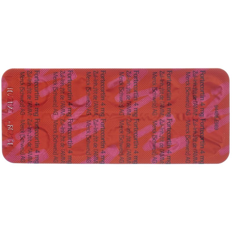 FORTECORTIN Tabl 4 mg 100 Stk - CONTENTBACK