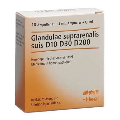 GLAND SUPRAREN SUIS Injeel Inj Lös 10 Amp 1.1 ml