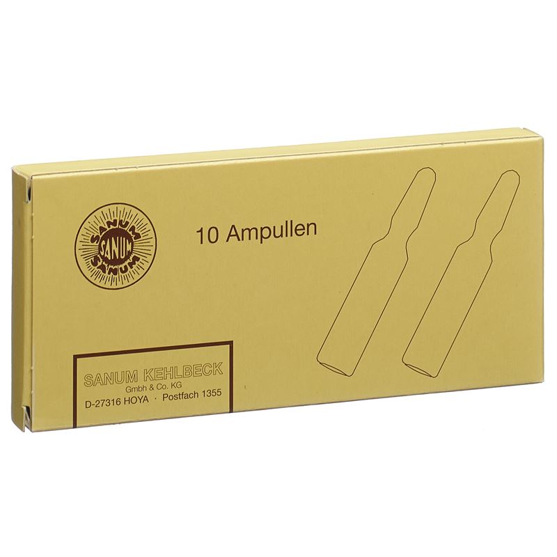 SANUM Aspergillus niger Inj Lös D 6 10 Amp 1 ml