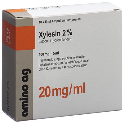 XYLESIN Inj Lös 100 mg/5ml 10 Amp 5 ml